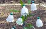 Цветы из пластиковых бутылок: колокольчики