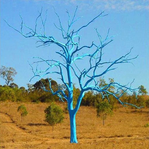 голубое дерево 